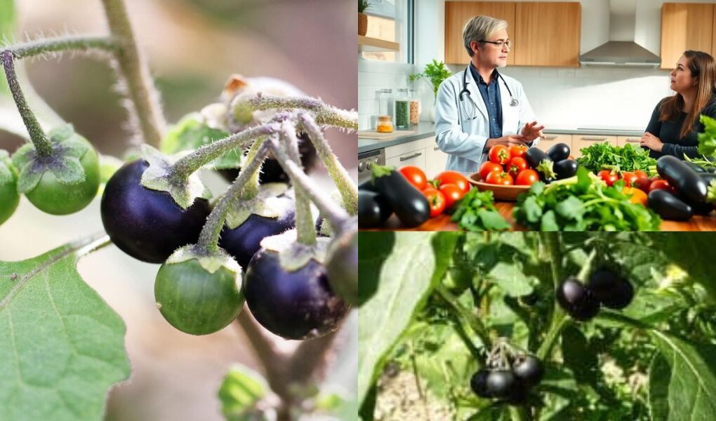 Nachtschattenlähmung